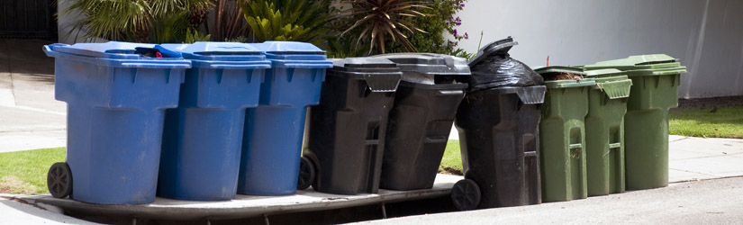 Proper disposal
